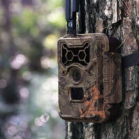 GAME AND TRAIL CAMERAS